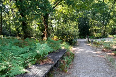 Site du Bourghail de Merignac (9).